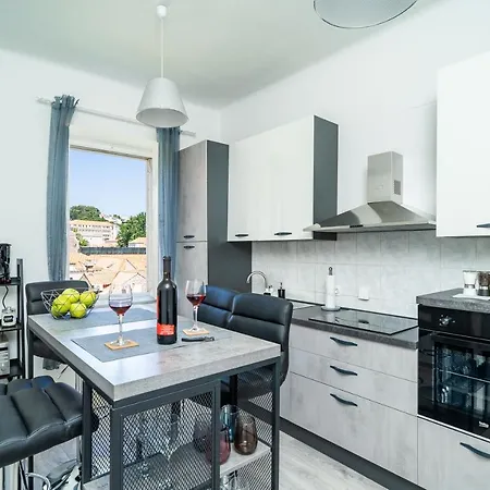 Swan - Old Town Dubrovnik