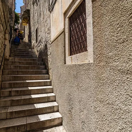 Swan - Old Town Dubrovnik