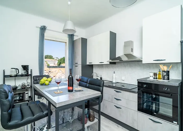 Swan - Old Town Dubrovnik